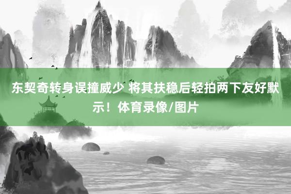东契奇转身误撞威少 将其扶稳后轻拍两下友好默示！体育录像/图片