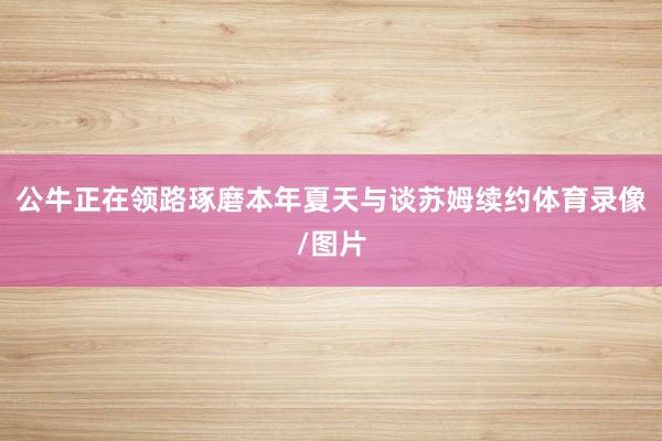 公牛正在领路琢磨本年夏天与谈苏姆续约体育录像/图片