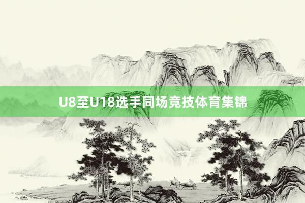 U8至U18选手同场竞技体育集锦