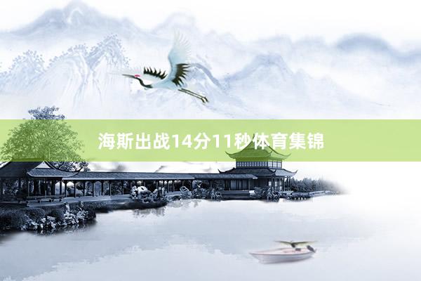 海斯出战14分11秒体育集锦