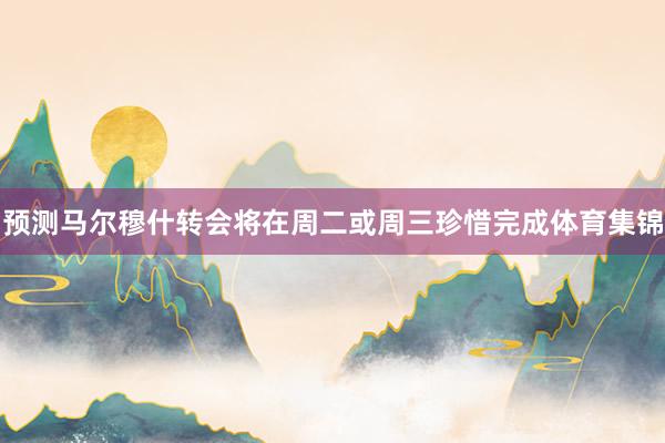 预测马尔穆什转会将在周二或周三珍惜完成体育集锦