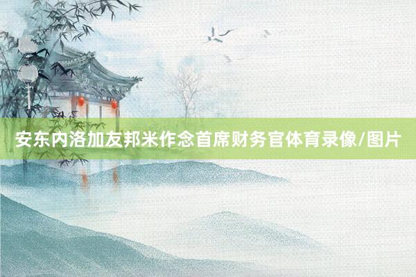 安东内洛加友邦米作念首席财务官体育录像/图片