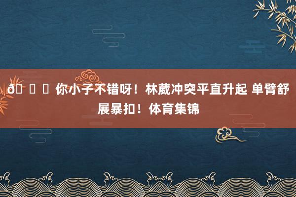 😃你小子不错呀！林葳冲突平直升起 单臂舒展暴扣！体育集锦