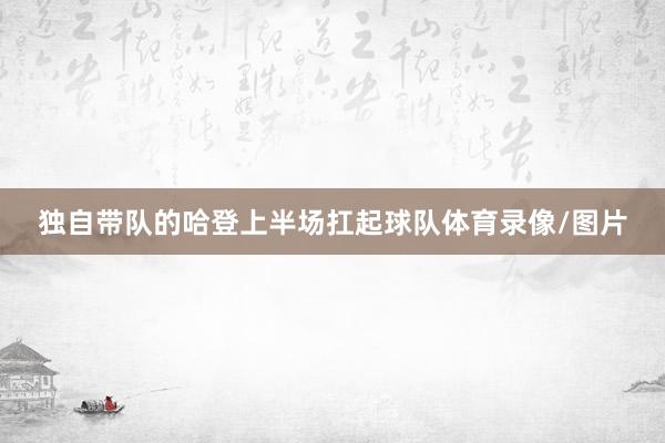 独自带队的哈登上半场扛起球队体育录像/图片
