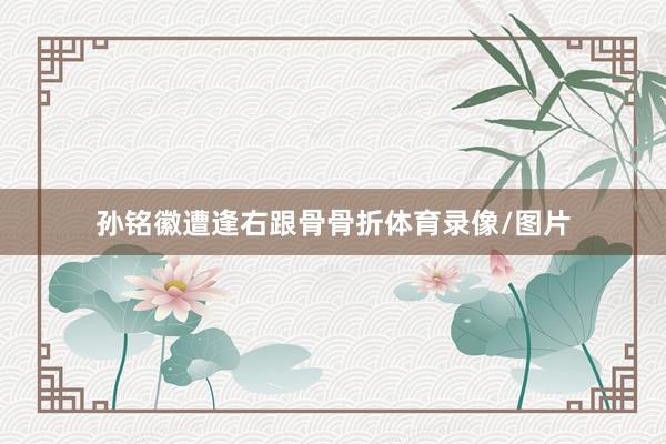 孙铭徽遭逢右跟骨骨折体育录像/图片