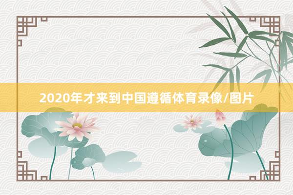 2020年才来到中国遵循体育录像/图片