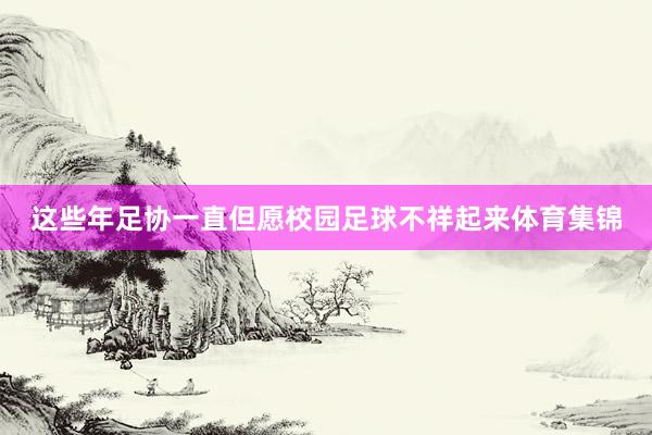 这些年足协一直但愿校园足球不祥起来体育集锦