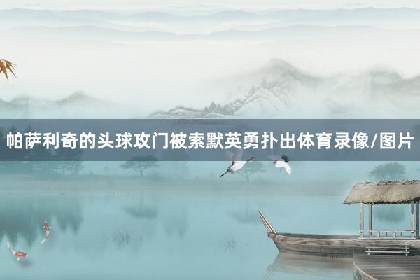 帕萨利奇的头球攻门被索默英勇扑出体育录像/图片