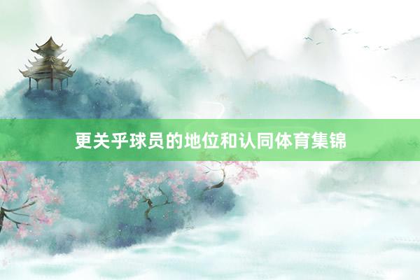更关乎球员的地位和认同体育集锦