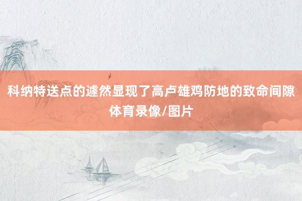 科纳特送点的遽然显现了高卢雄鸡防地的致命间隙体育录像/图片