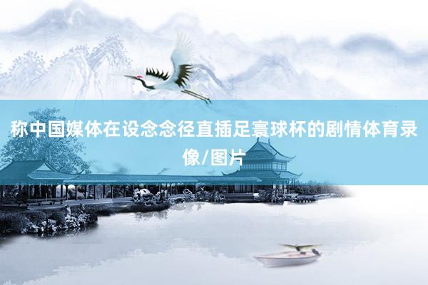 称中国媒体在设念念径直插足寰球杯的剧情体育录像/图片