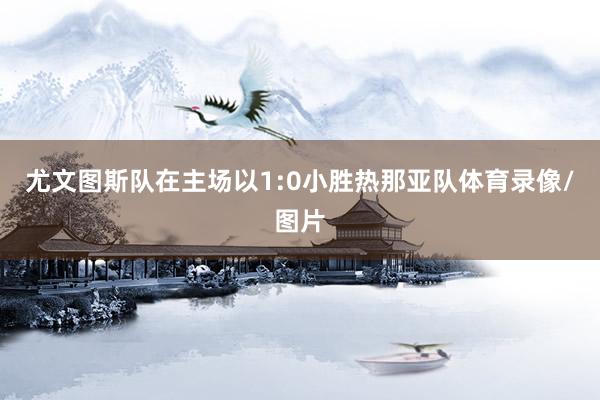 尤文图斯队在主场以1:0小胜热那亚队体育录像/图片