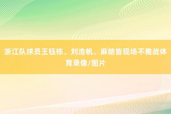 浙江队球员王钰栋、刘浩帆、麻皓皆现场不雅战体育录像/图片