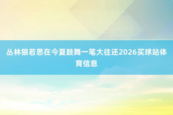 丛林狼若思在今夏鼓舞一笔大往还2026买球站体育信息
