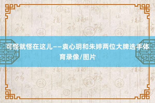 可怪就怪在这儿——袁心玥和朱婷两位大牌选手体育录像/图片