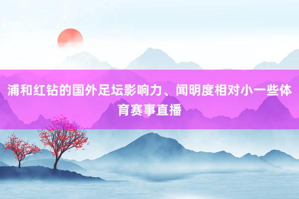 浦和红钻的国外足坛影响力、闻明度相对小一些体育赛事直播