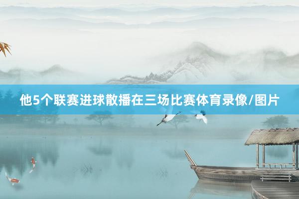 他5个联赛进球散播在三场比赛体育录像/图片