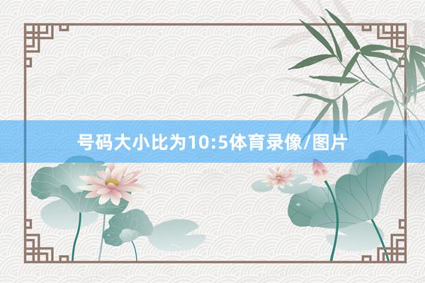 号码大小比为10:5体育录像/图片