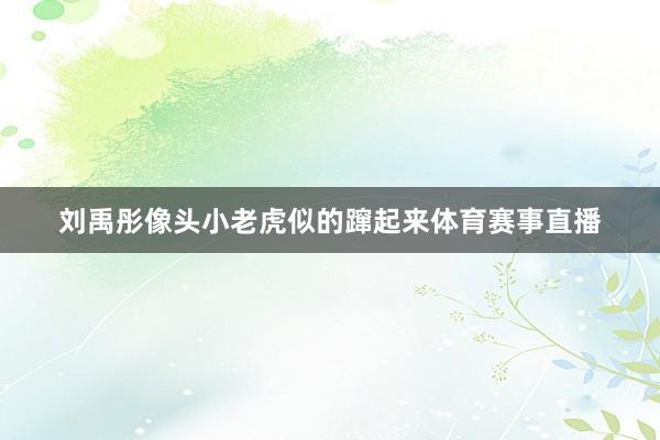 刘禹彤像头小老虎似的蹿起来体育赛事直播