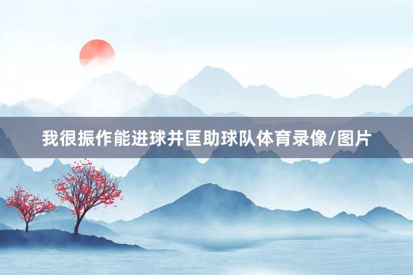 我很振作能进球并匡助球队体育录像/图片