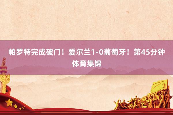 帕罗特完成破门！爱尔兰1-0葡萄牙！第45分钟体育集锦