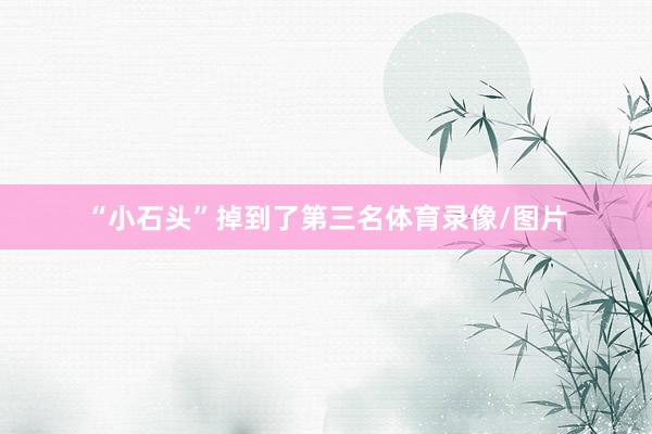“小石头”掉到了第三名体育录像/图片