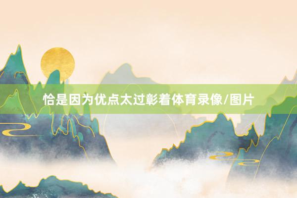 恰是因为优点太过彰着体育录像/图片