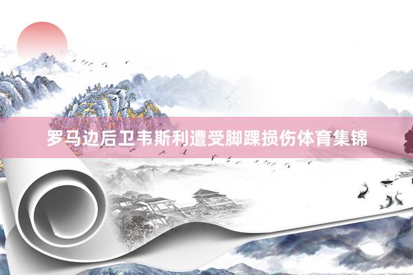 罗马边后卫韦斯利遭受脚踝损伤体育集锦