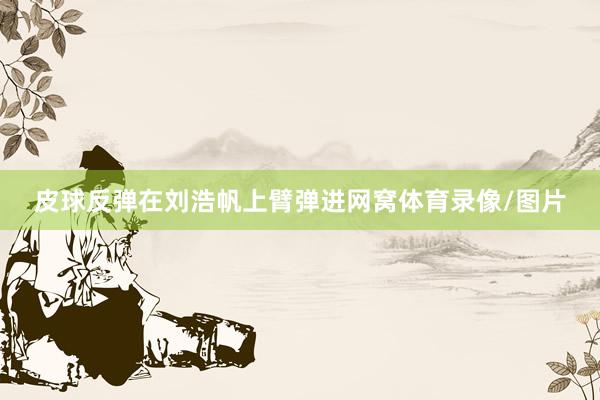 皮球反弹在刘浩帆上臂弹进网窝体育录像/图片