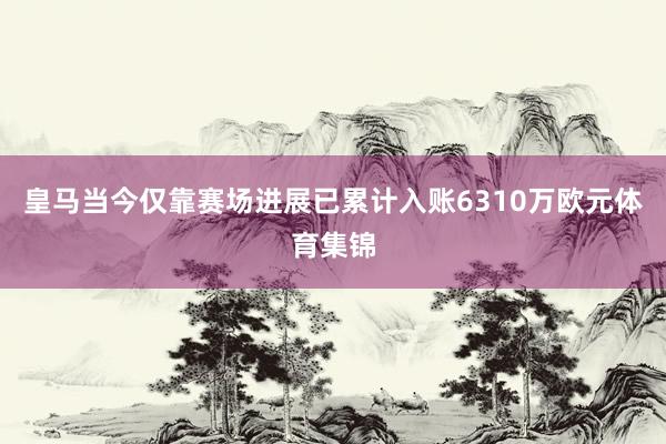 皇马当今仅靠赛场进展已累计入账6310万欧元体育集锦