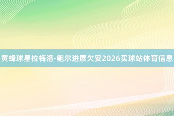 黄蜂球星拉梅洛·鲍尔进展欠安2026买球站体育信息