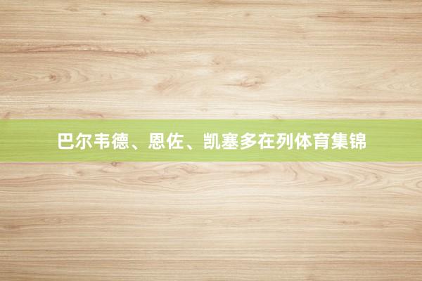 巴尔韦德、恩佐、凯塞多在列体育集锦