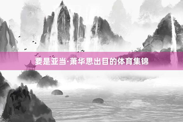 要是亚当·萧华思出目的体育集锦