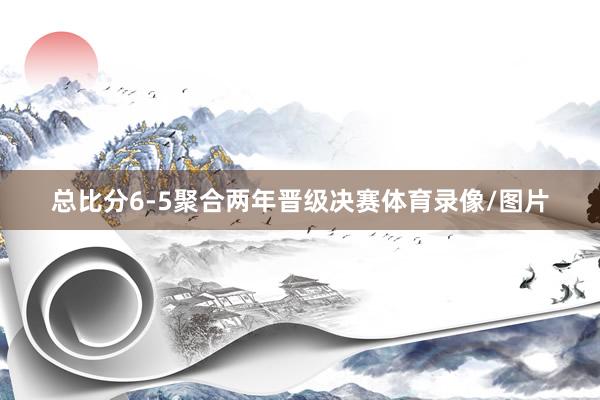 总比分6-5聚合两年晋级决赛体育录像/图片