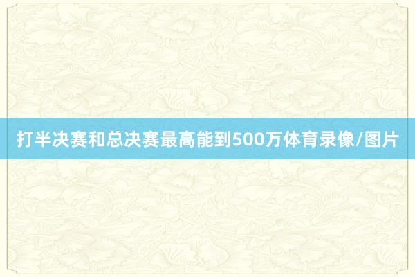 打半决赛和总决赛最高能到500万体育录像/图片