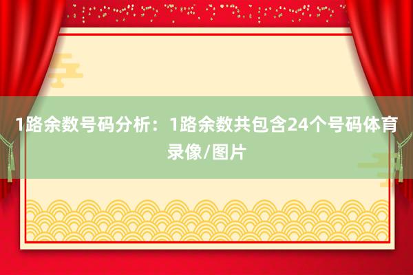 1路余数号码分析：1路余数共包含24个号码体育录像/图片
